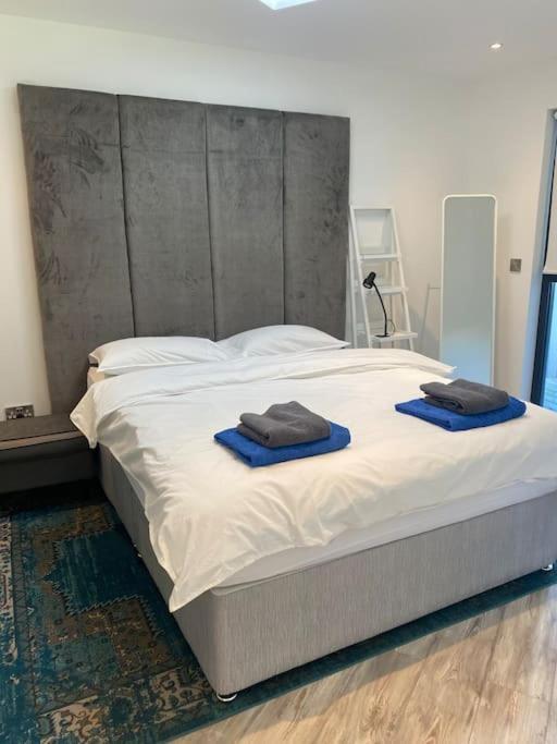 Beautiful Garden Apartment With Private Patio And Garden View Dublin Luaran gambar