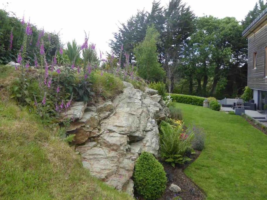 Beautiful Garden Apartment With Private Patio And Garden View Dublin Luaran gambar